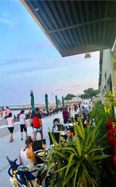 Restaurant Pescaresc Lebada Mangalia fereastra