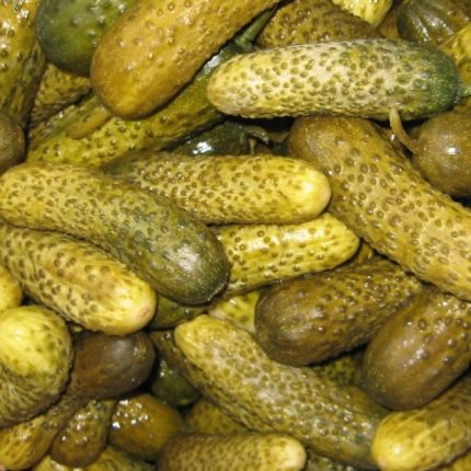 Salata de castraveti murati